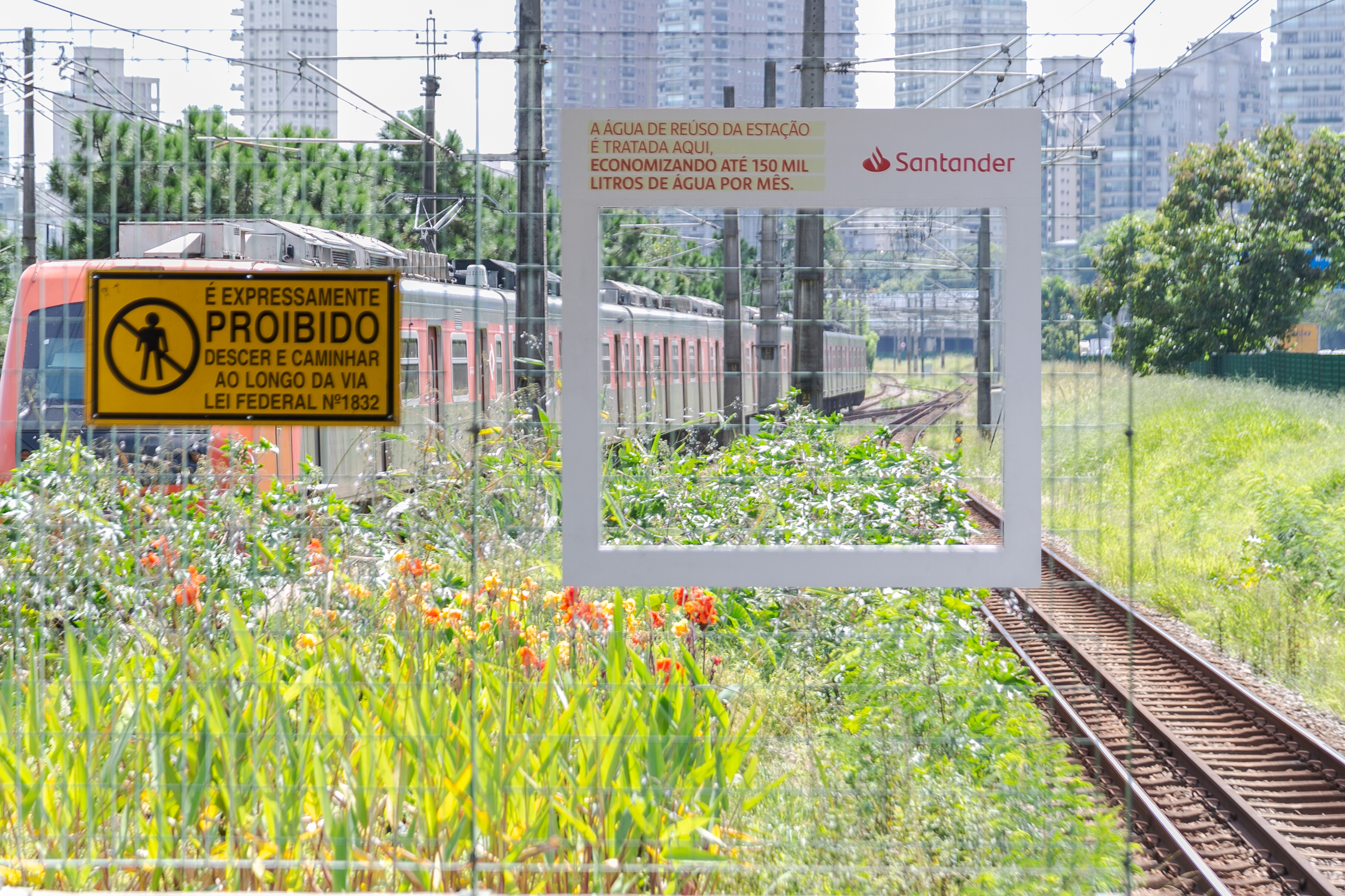 Biodiversidade Cidade São Paulo