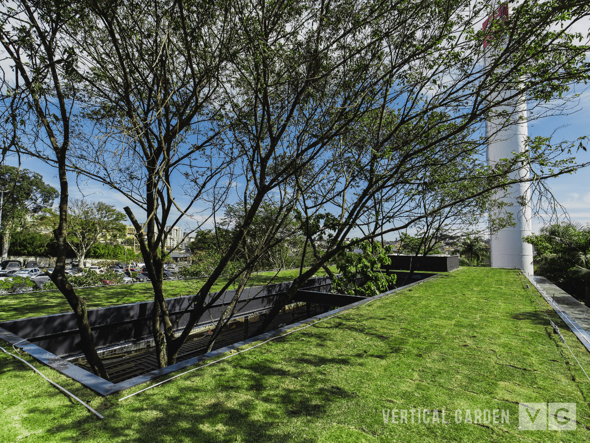 Telhado Verde Bradesco