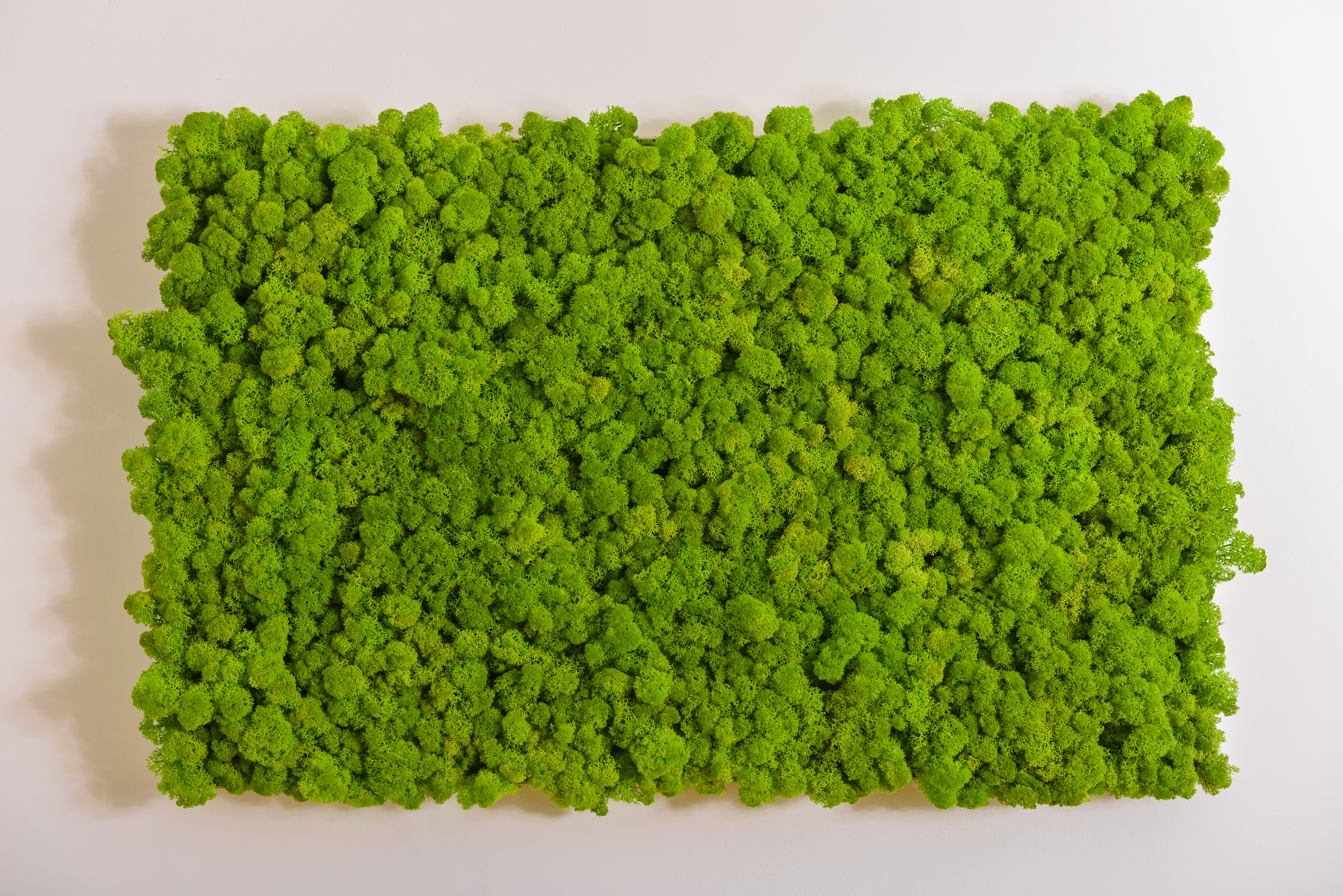 Painel verde de musgo moss wall