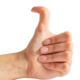 Thumb showing Hitchhiker's thumb recessive trait