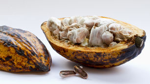 映画「バレンタイン一揆」上映＆トークショー