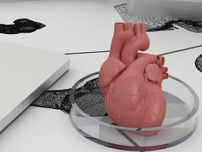 Dünyadaki Organ Bağışı Yetersizliği ve Öncü Yapay Organ Üretim Projeleri