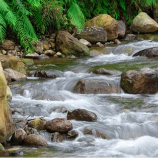 beautiful-river-landscape-clear-water-260nw-2640814801_edited.jpg