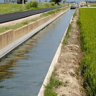 rice-field-irrigation-canal-ebro-600nw-2190224849_edited.jpg