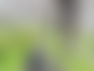 「穂々えみ」開業まで⑦