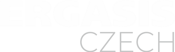 LOGO ERGASIS