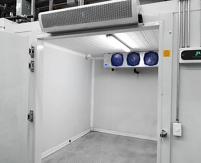 Cadena de frio (6) congelacion.jpg