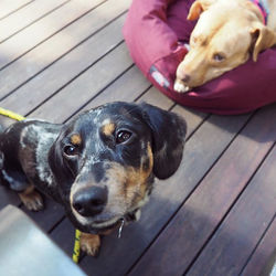 They don't always look at me this way, b