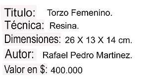 FICHA TÉCNICA torzo mujer.png
