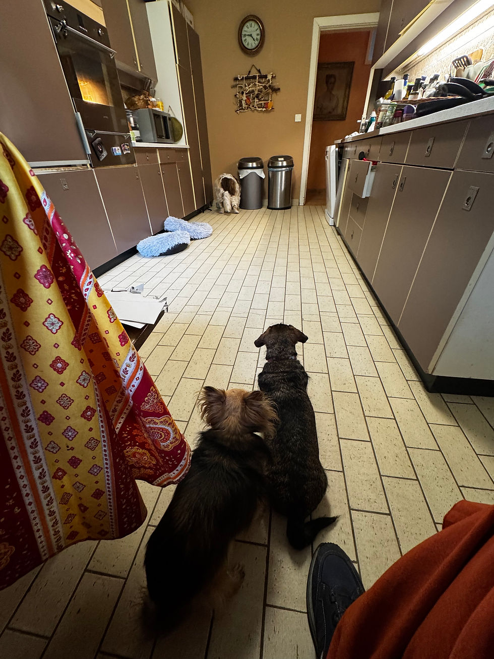 The Sausage Party Protocol: Lilly’s Dawn-Sausage-Rave Negotiation at CCR