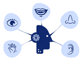 Introducing mp6 – The Future of Sensory Perception Measurement including for FoodTech