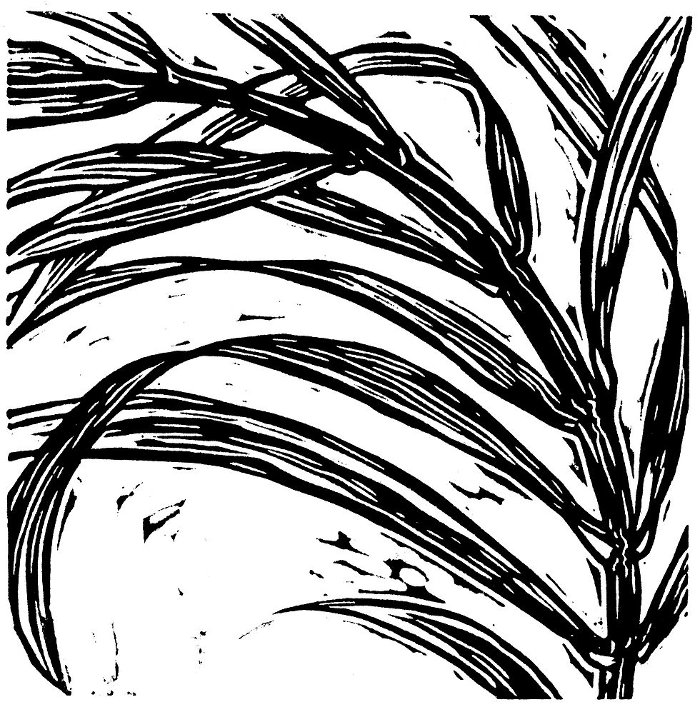 Palm Sunday Procession & Eucharist