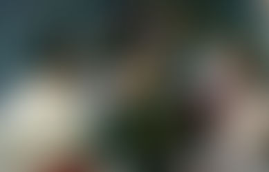 A Beautiful Experience