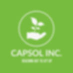 CAPSOL INC Logo Lime Green