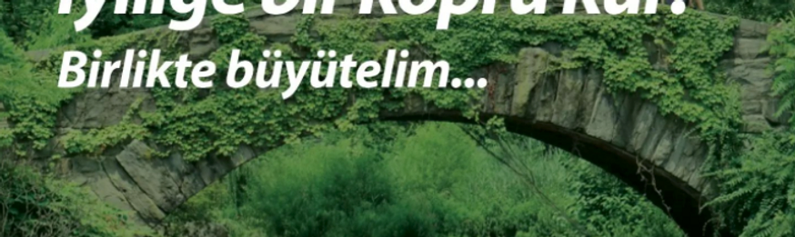 Köprü Project