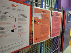 477774752_590266563980671_755261479479898882_n