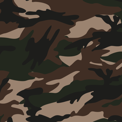 CAMO1