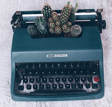 Image of a typewriter with several small cacti seemingly growing out of the gap for paper