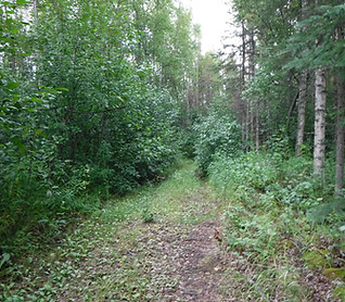 DSCF0680.JPG