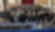 Anthornis handbells.JPG