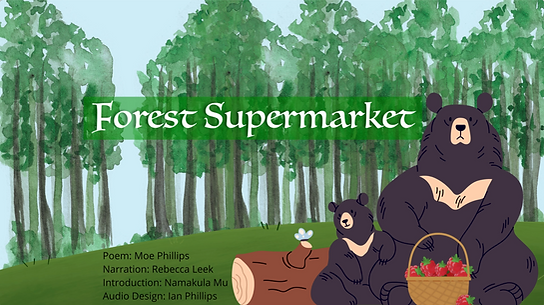 Forest Supermarket_Key Frame.png
