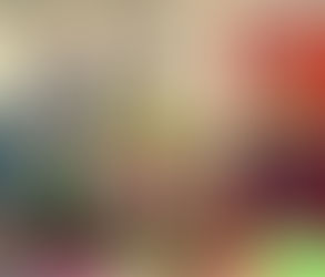 Vize campiun provinzial