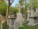20250407_085659.jpg