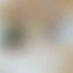 賽馬會善寧之家