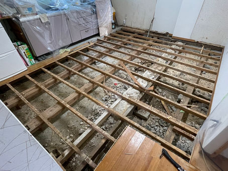 シロアリ被害！