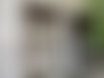 雨戸/靴箱製作！