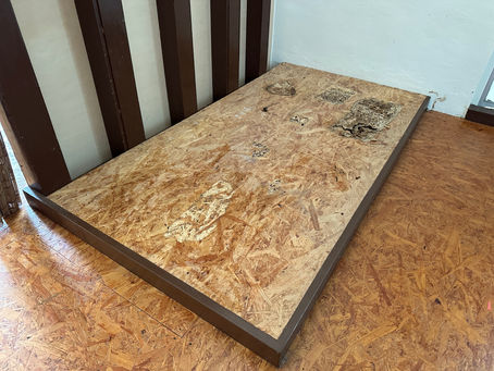 シロアリ被害、床張替え工事