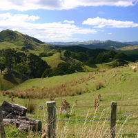 Te Wharau
