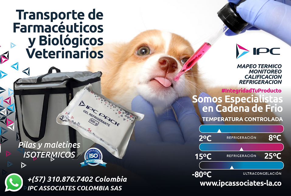 boletin PET 1.png