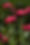 BF8368A0-8C53-43F2-BDC1-23515E21608F.jpeg