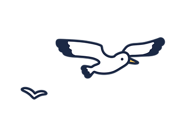 Two seagulls flying over the Gulf Coast beach