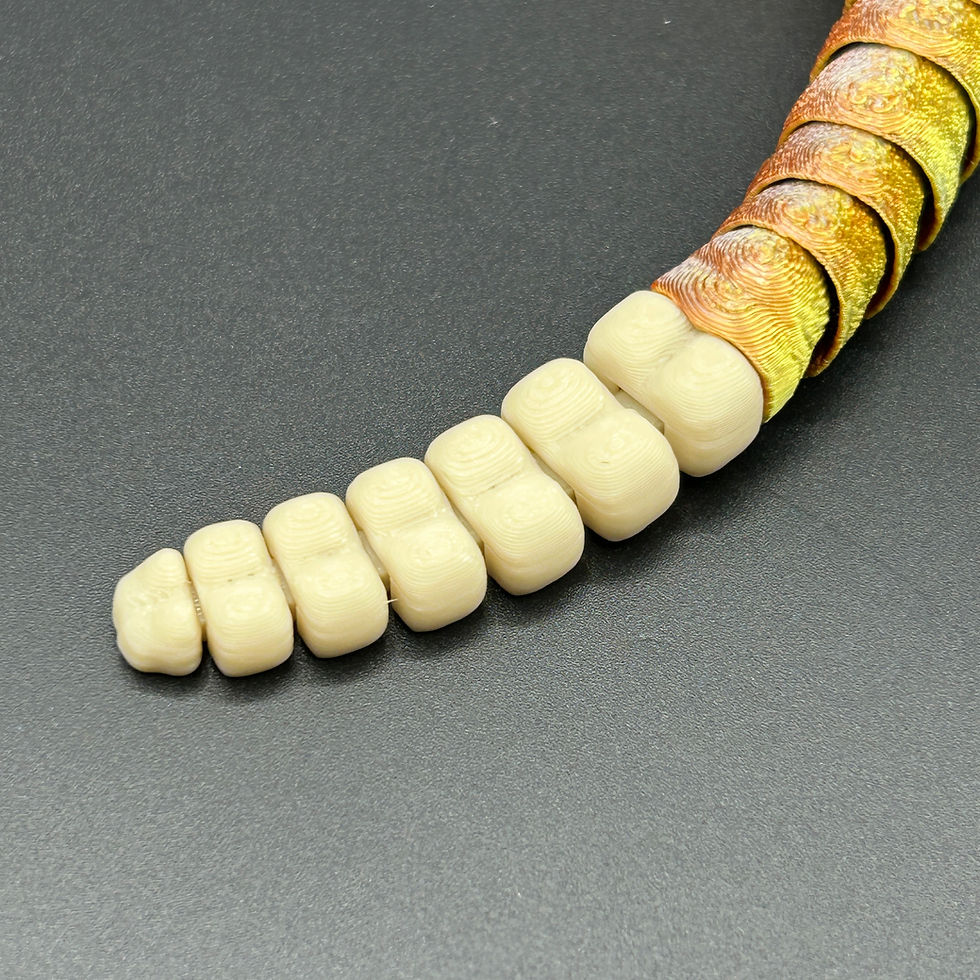 Thumbnail: Rattle Snake