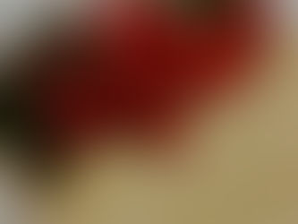 Vanilla Pastry Cream Filling