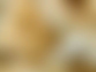 Everything Breakfast Bagels