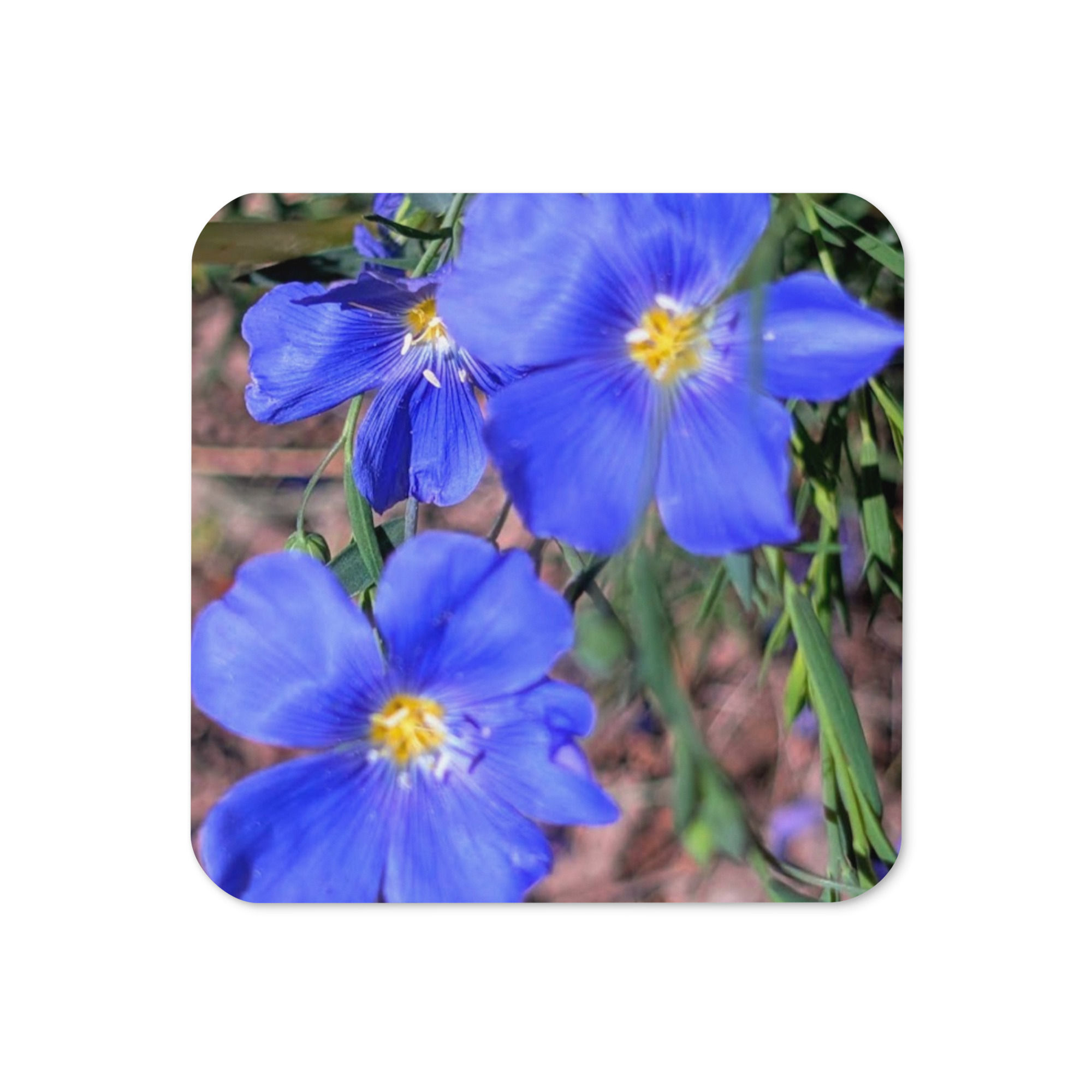Summer Collection: Skyborne Serenity, A Fine Art Cork-back coaster
