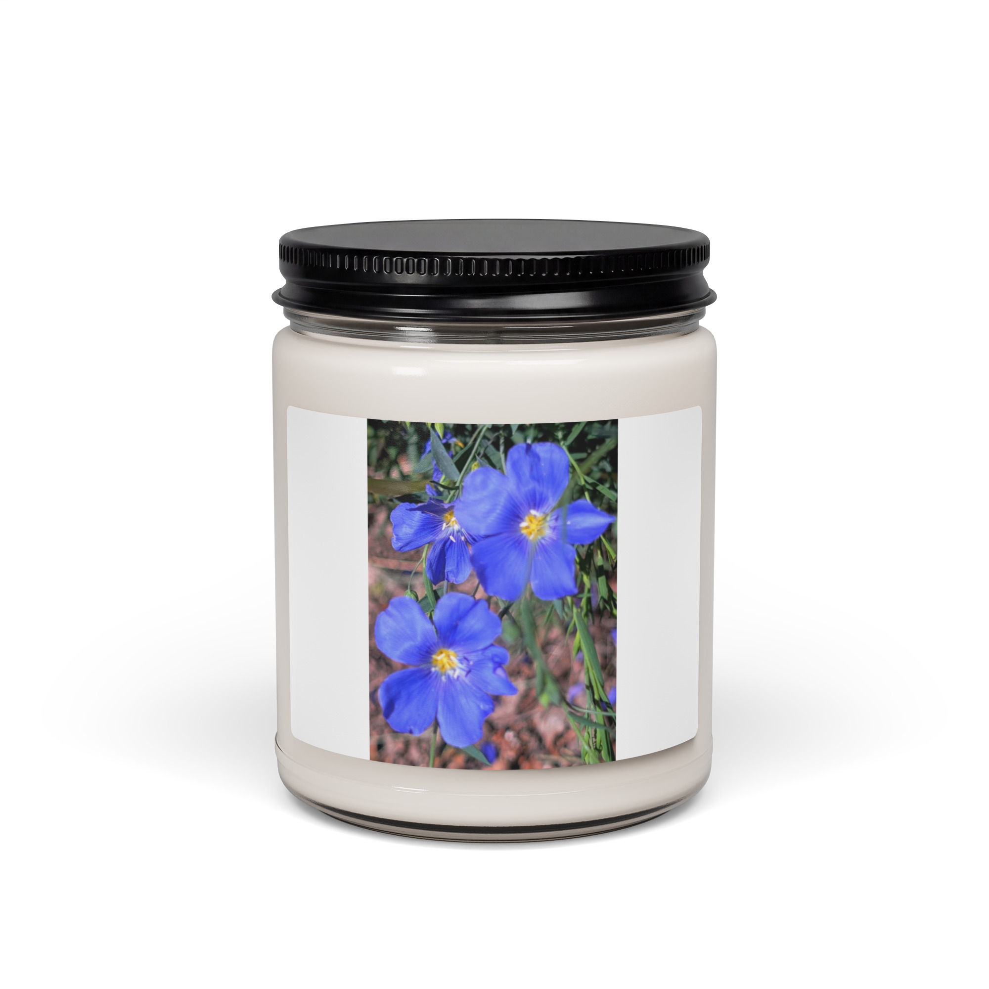 Summer Collection: Skyborne Serenity, A Fine Art Scented soy candle