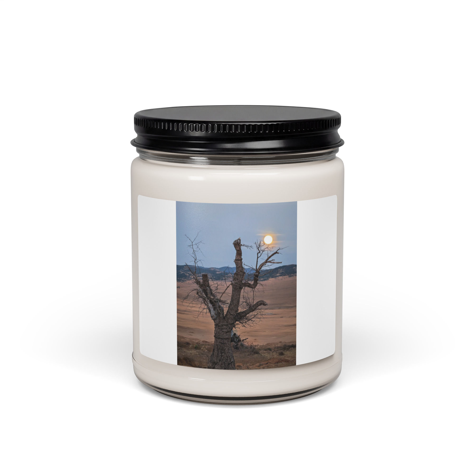 Spring Collection: Moonrise Through the Ancient Tree, Scented soy candle