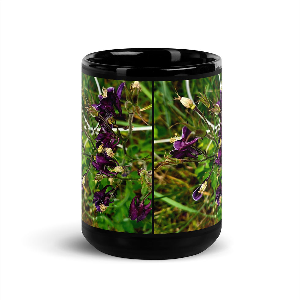 Thumbnail: Spring Collection: Sorcerer Belladonna, A Fine Art Black Glossy Mug