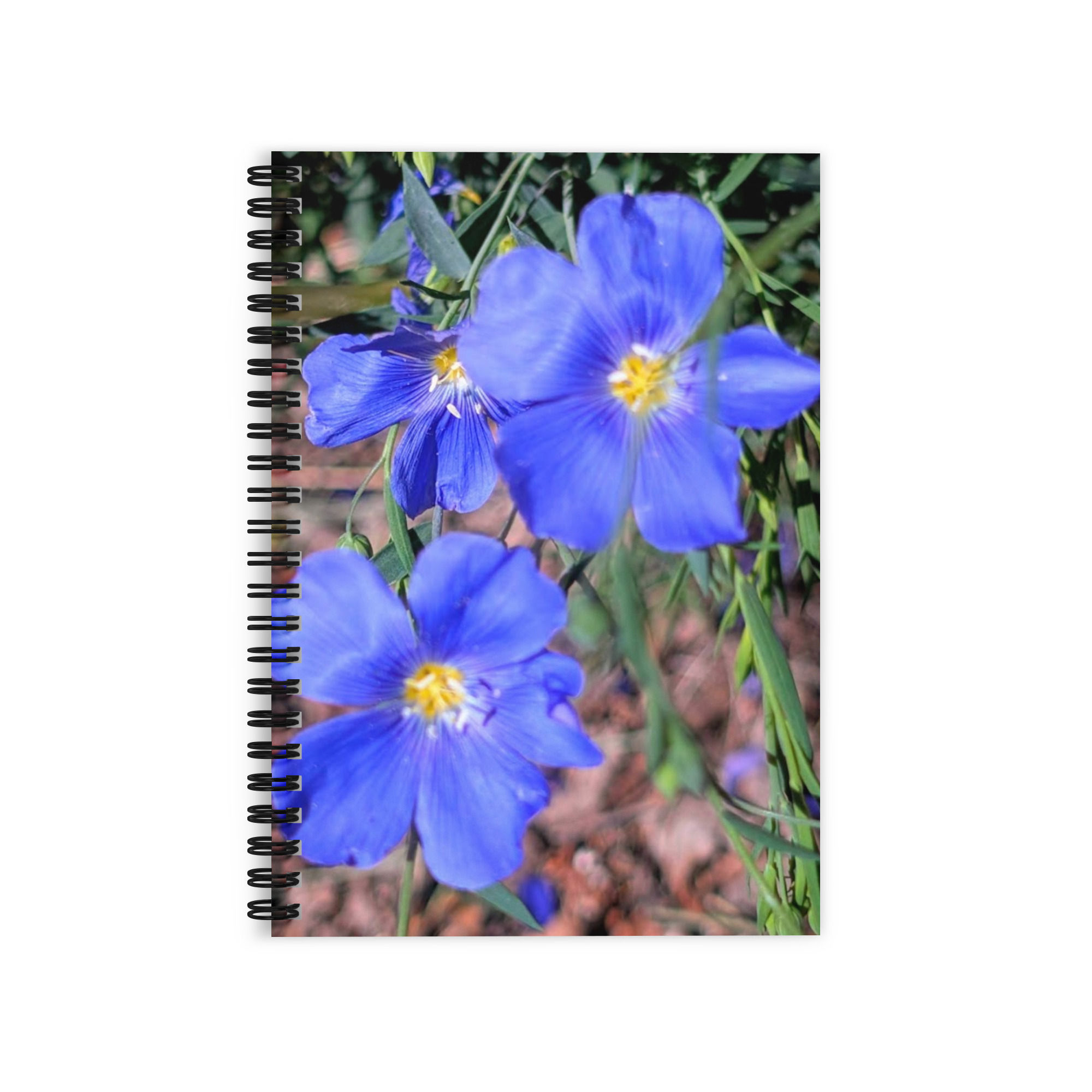 Summer Collection: Skyborne Serenity, A Fine Art Ruled Line Spiral Notebook