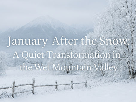January After the Snow: A Quiet Transformation in the Wet Mountain Valley