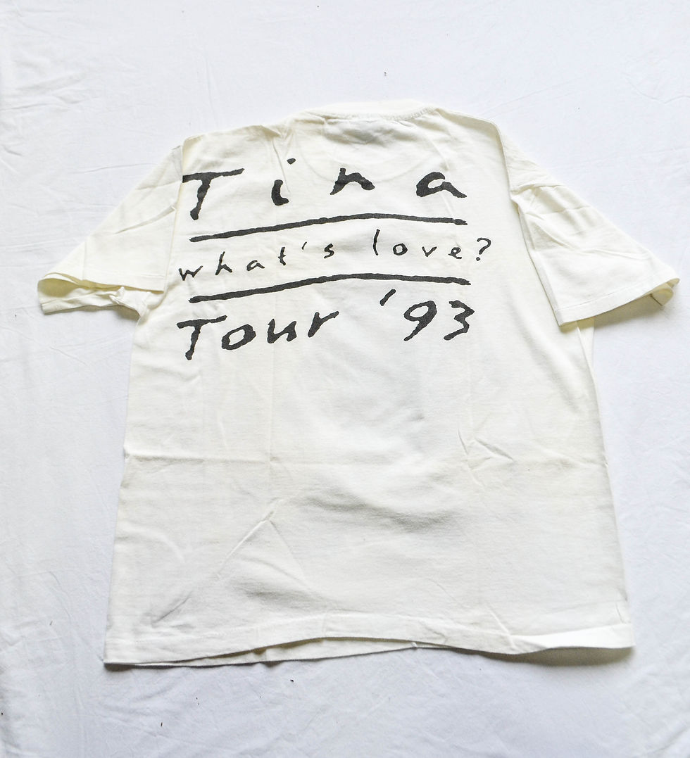 Thumbnail: TINA TURNER 1993 TOUR - LARGE
