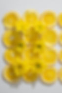 lemons with daisy.jpg