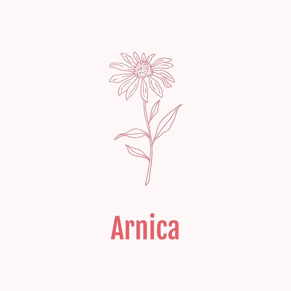 Homöopathische Reiseapotheke – Arnica