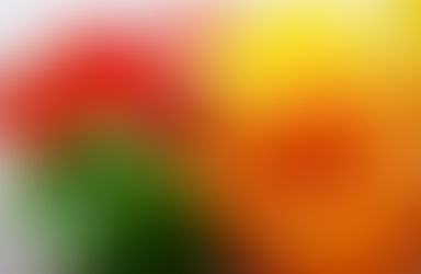 Education Basket: What is the Difference Between Colored Bell Peppers