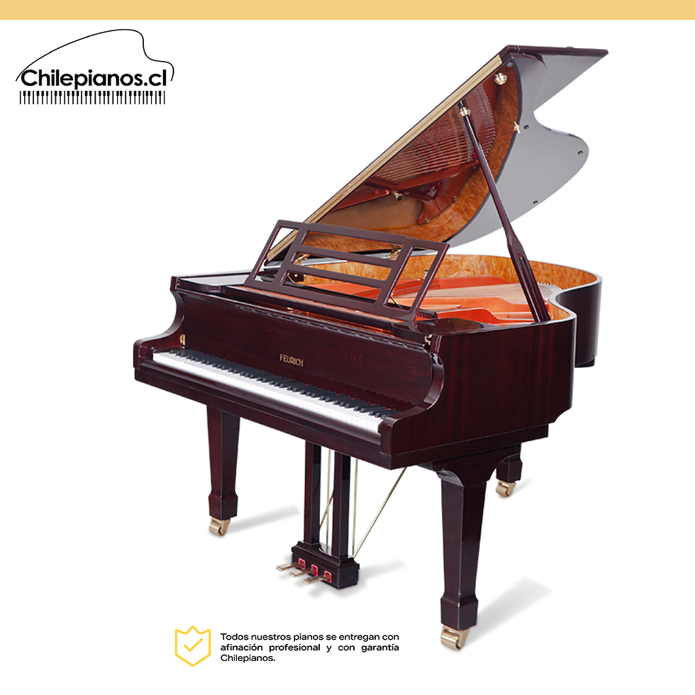 Feurich F179 – Dynamic II
