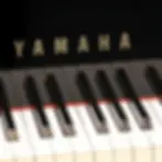 Miniatura: Yamaha GB1K